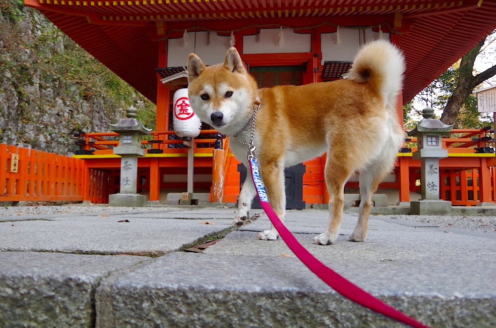 开云体育下载官网-新闻中心发布体育奖项评选细则改动说明，体育评奖有什么称号